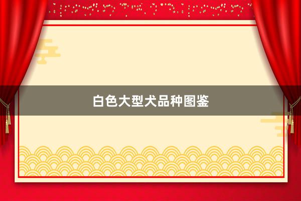 白色大型犬品种图鉴