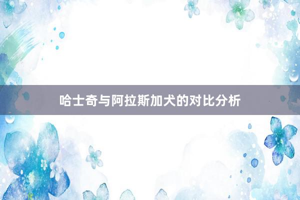哈士奇与阿拉斯加犬的对比分析