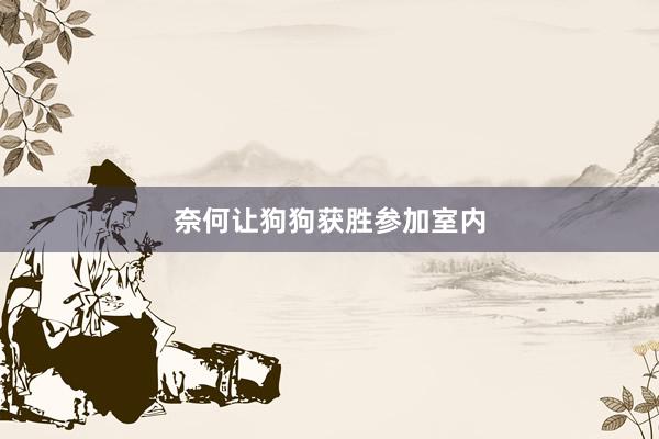 奈何让狗狗获胜参加室内